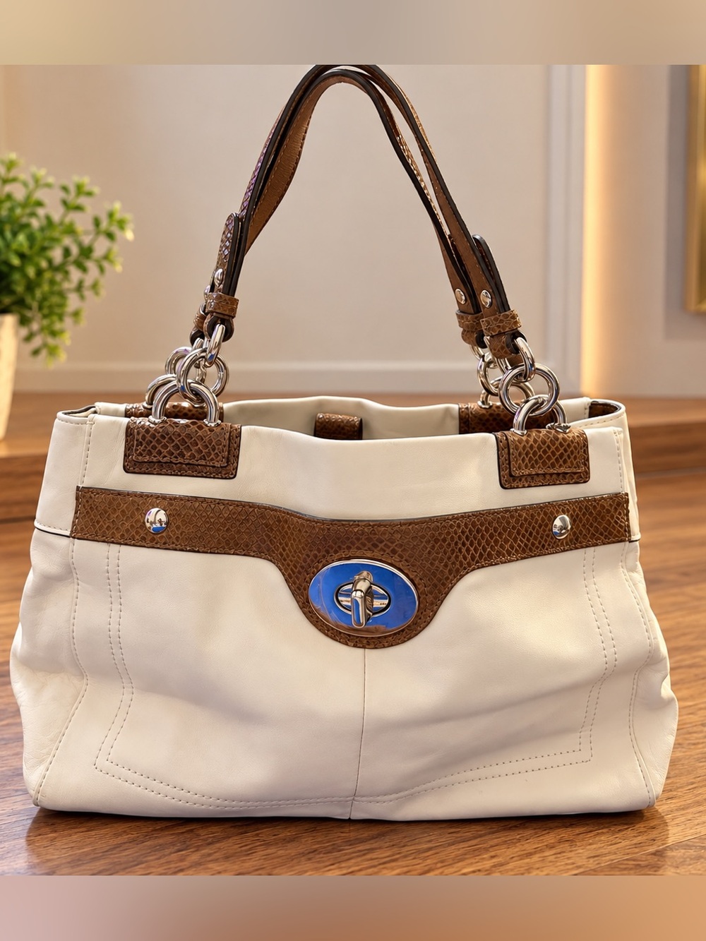 Coach cowhide bag